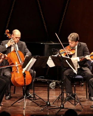 Rock N Roll Reignited With Not Fade Away