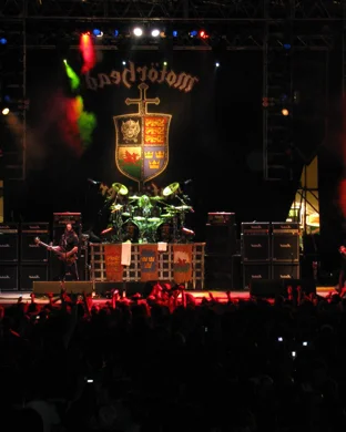 Ingested