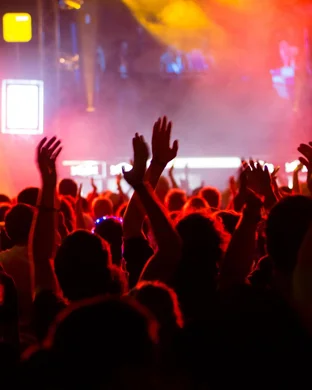 Blair, Polo Perks, & Doris