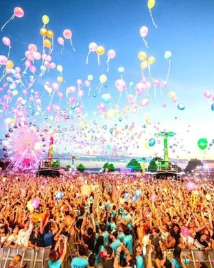 Live concert by LAERZ