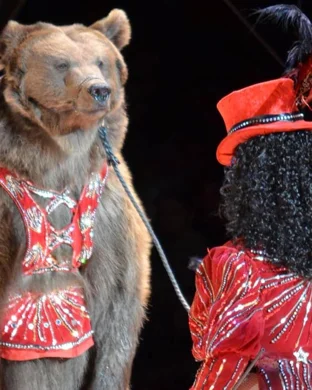 Garden Bros Nuclear Circus