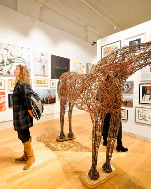 Oddities and Curiosities Expo