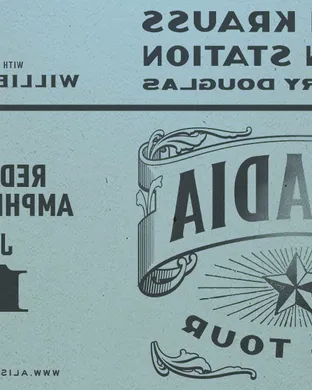 Live concert by Alison Krauss and Union Station