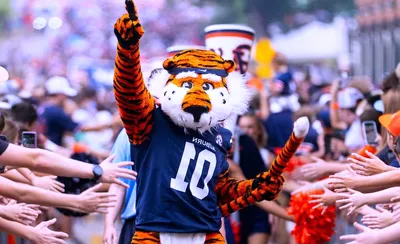 Auburn Tigers Football