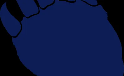 California Golden Bears