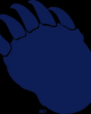 California Golden Bears