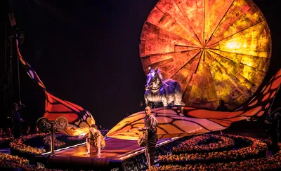 Cirque du Soleil - Luzia