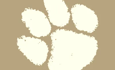 Clemson Tigers