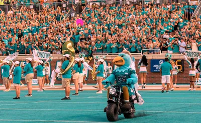Coastal Carolina Chanticleers