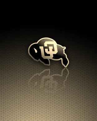 Colorado Buffaloes