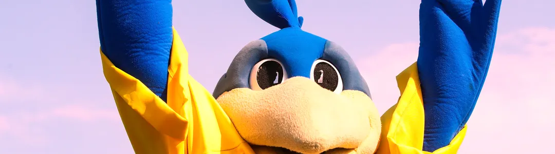 Delaware Blue Hens Football