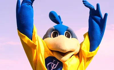 Delaware Blue Hens Football