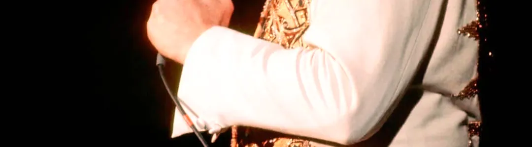 Elvis In Concert