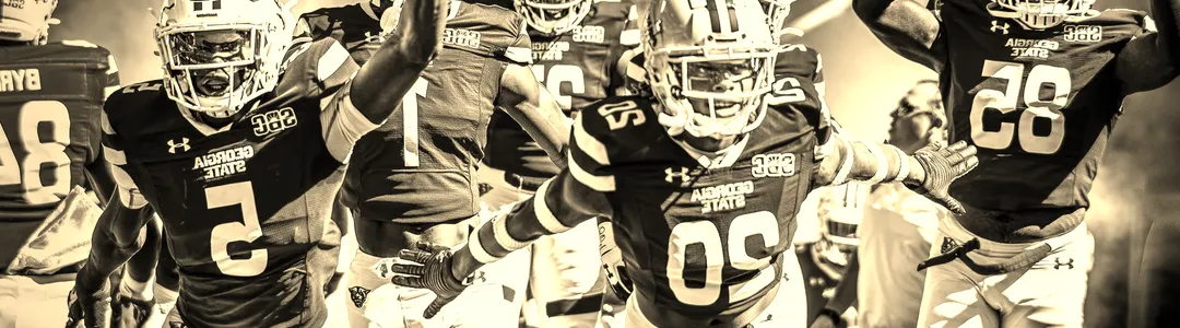 Georgia State Panthers Softball