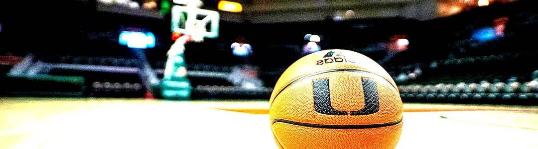 Georgia State Panthers Women's Basketball