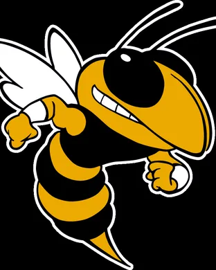 Georgia Tech Yellow Jackets Atlanta