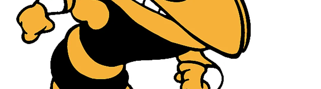 Georgia Tech Yellow Jackets