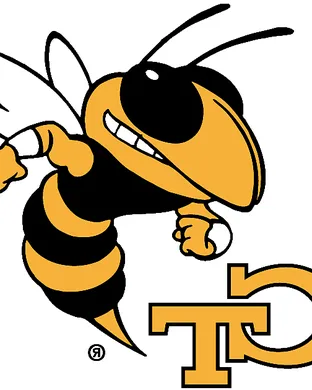 Georgia Tech Yellow Jackets Atlanta