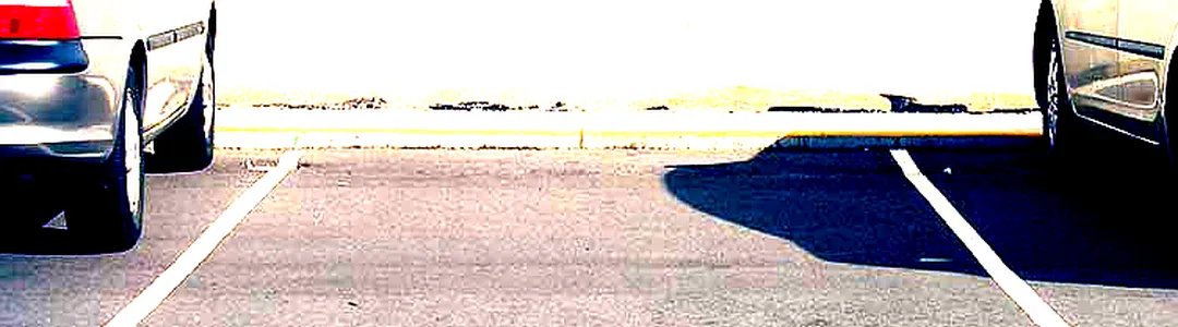 Into the Burrow: A Peter Rabbit Tale