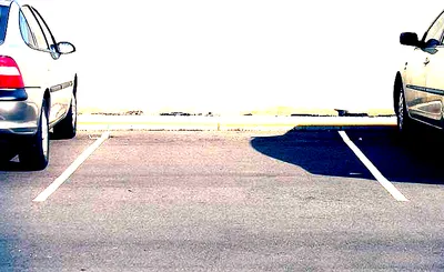 Into the Burrow: A Peter Rabbit Tale