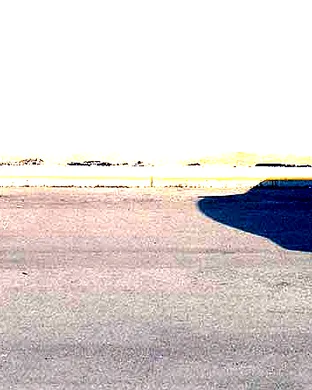 Into the Burrow: A Peter Rabbit Tale