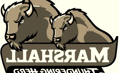 Marshall Thundering Herd