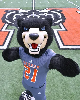 Mercer Bears