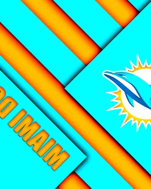 NFL Preseason: Miami Dolphins vs. Atlanta Falcons