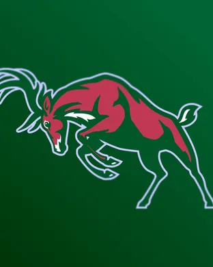 Milwaukee Bucks vs. Atlanta Hawks sports event