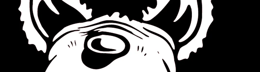 North Carolina State Wolfpack