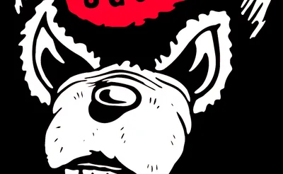 North Carolina State Wolfpack