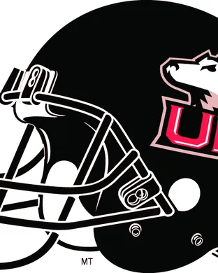 Northern Illinois Huskies