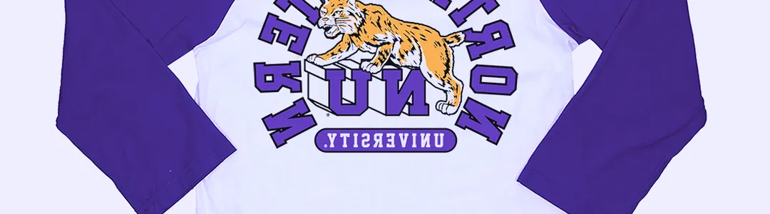 Northwestern Wildcats Baseball