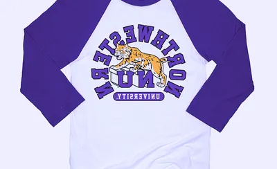 Northwestern Wildcats Baseball