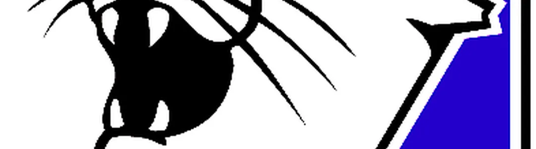 Northwestern Wildcats