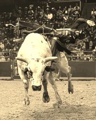 PBR - Unleash The Beast
