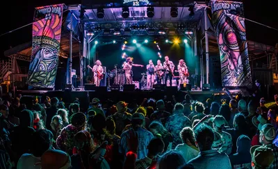 Pigeons Playing Ping Pong