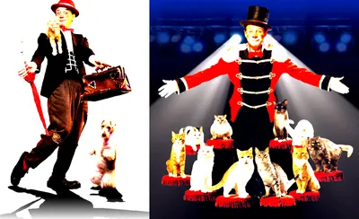 Popovich Comedy Pet Theater