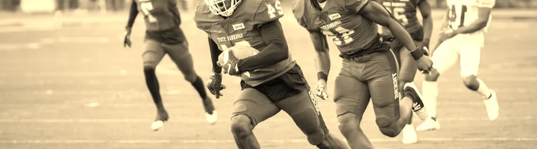 Savannah State Tigers