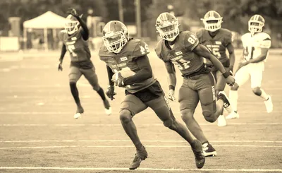 Savannah State Tigers