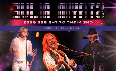 Stayin' Alive - One Night of the Bee Gees