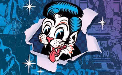 Stray Cats