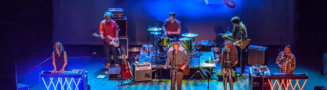 The New Pornographers