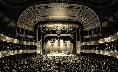 The Philharmonik