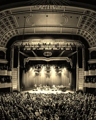The Philharmonik