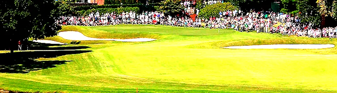 The Tour Championship