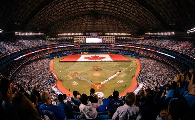 Toronto Blue Jays