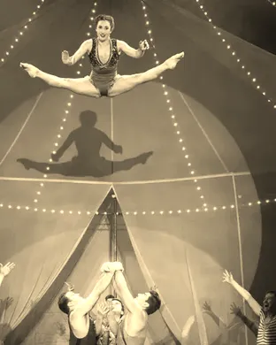 Water for Elephants - The Musical