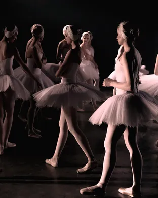 World Ballet Company: Swan Lake