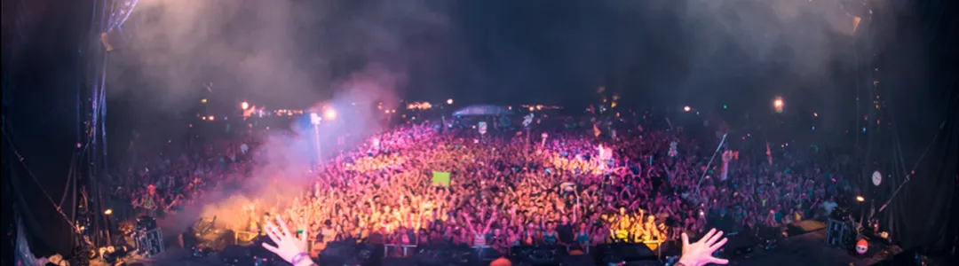 Zedd